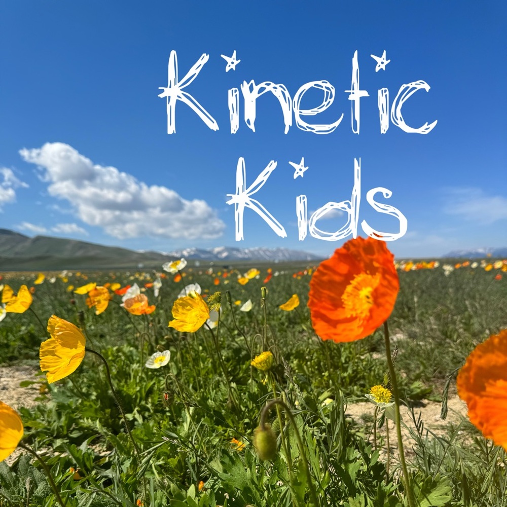 Outdoor Adventure Set